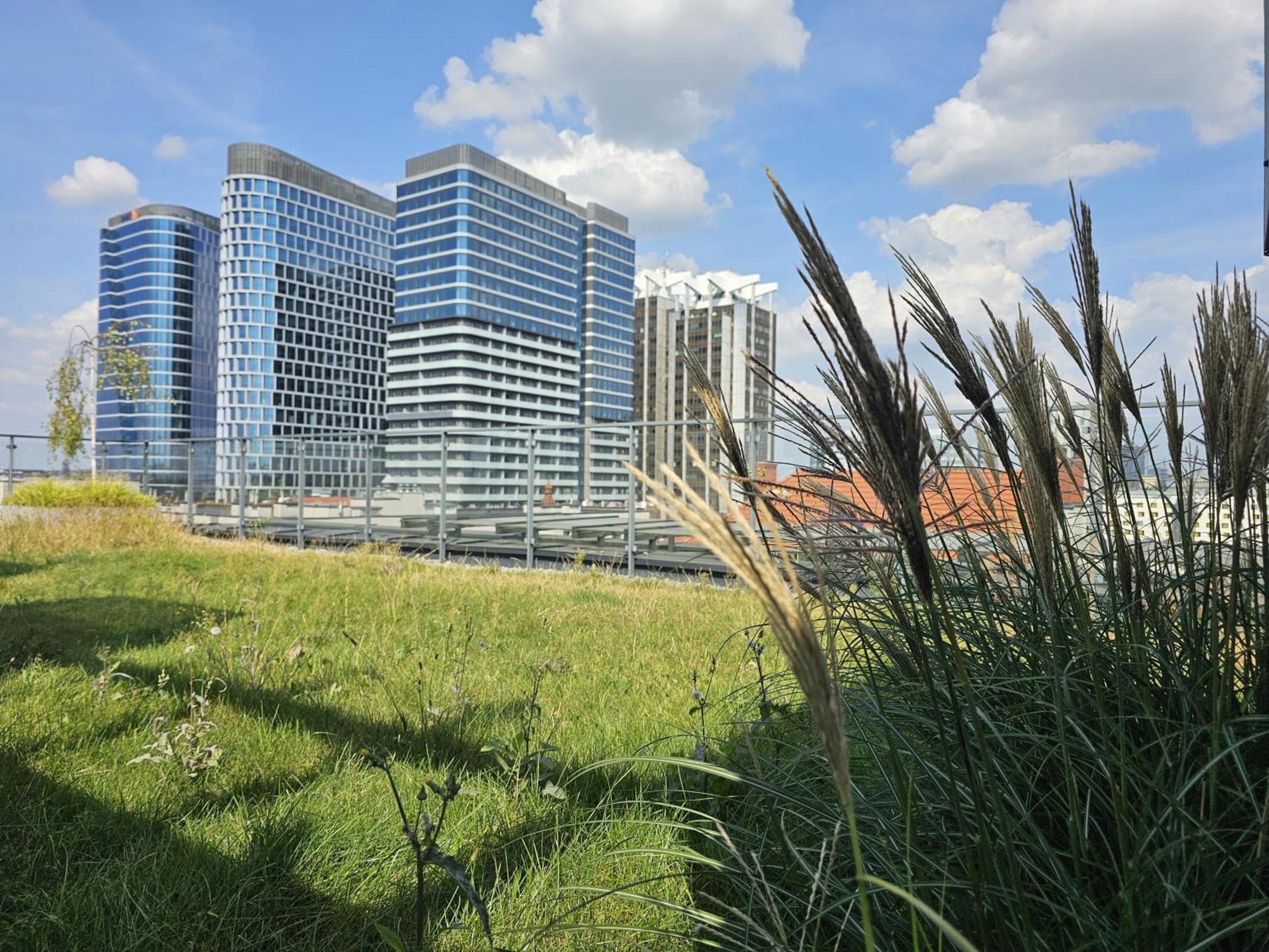 Urban Apartments Premium, Opolska 10 No 90, 2 Free Garages, Self Check-In Katowice Buitenkant foto